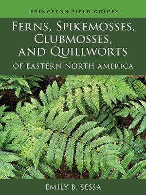 cover image of Ferns, Spikemosses, Clubmosses, and Quillworts of Eastern North America